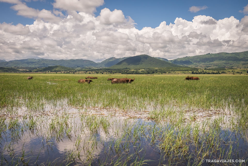 Viaje en bote de Pekon a Inle myanmar birmania