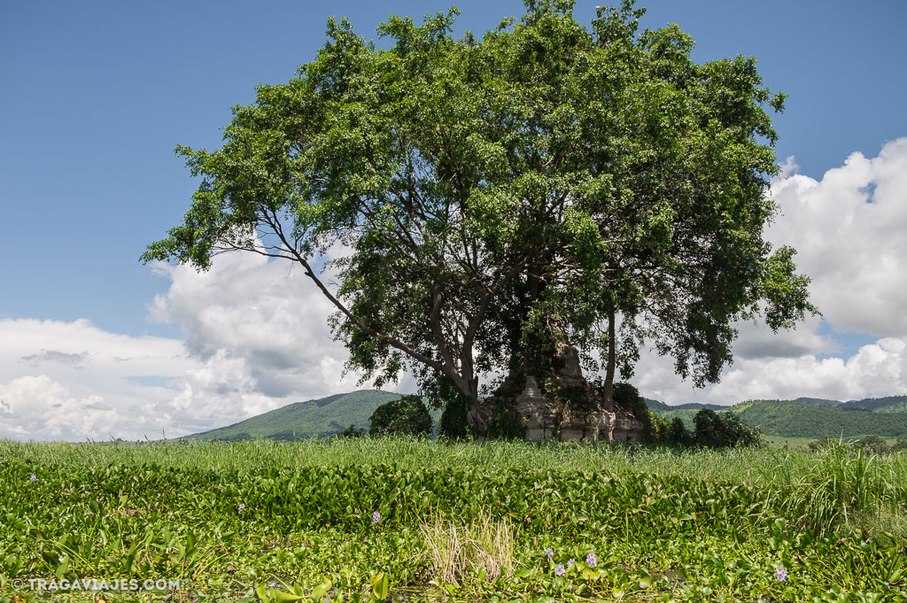 viaje-en-bote-inle-pekon-myanmar-birmania-35