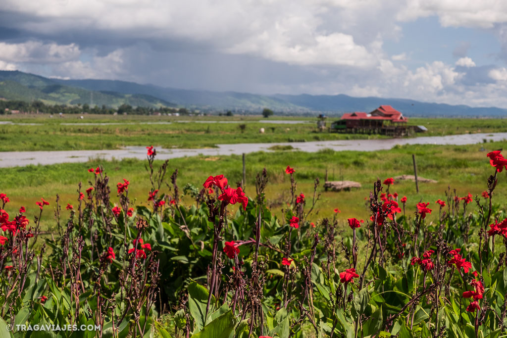 viaje-en-bote-inle-pekon-myanmar-birmania-39