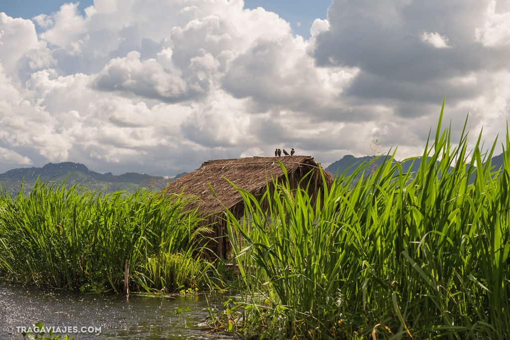 viaje-en-bote-inle-pekon-myanmar-birmania-48