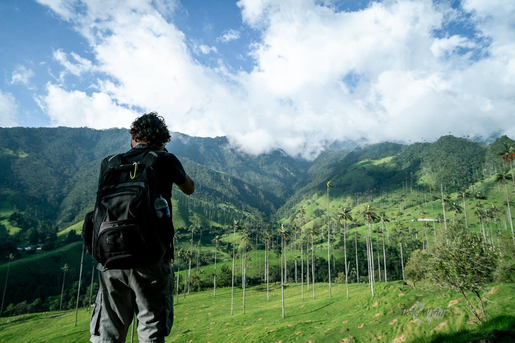 Valle de Cocora en Colombia